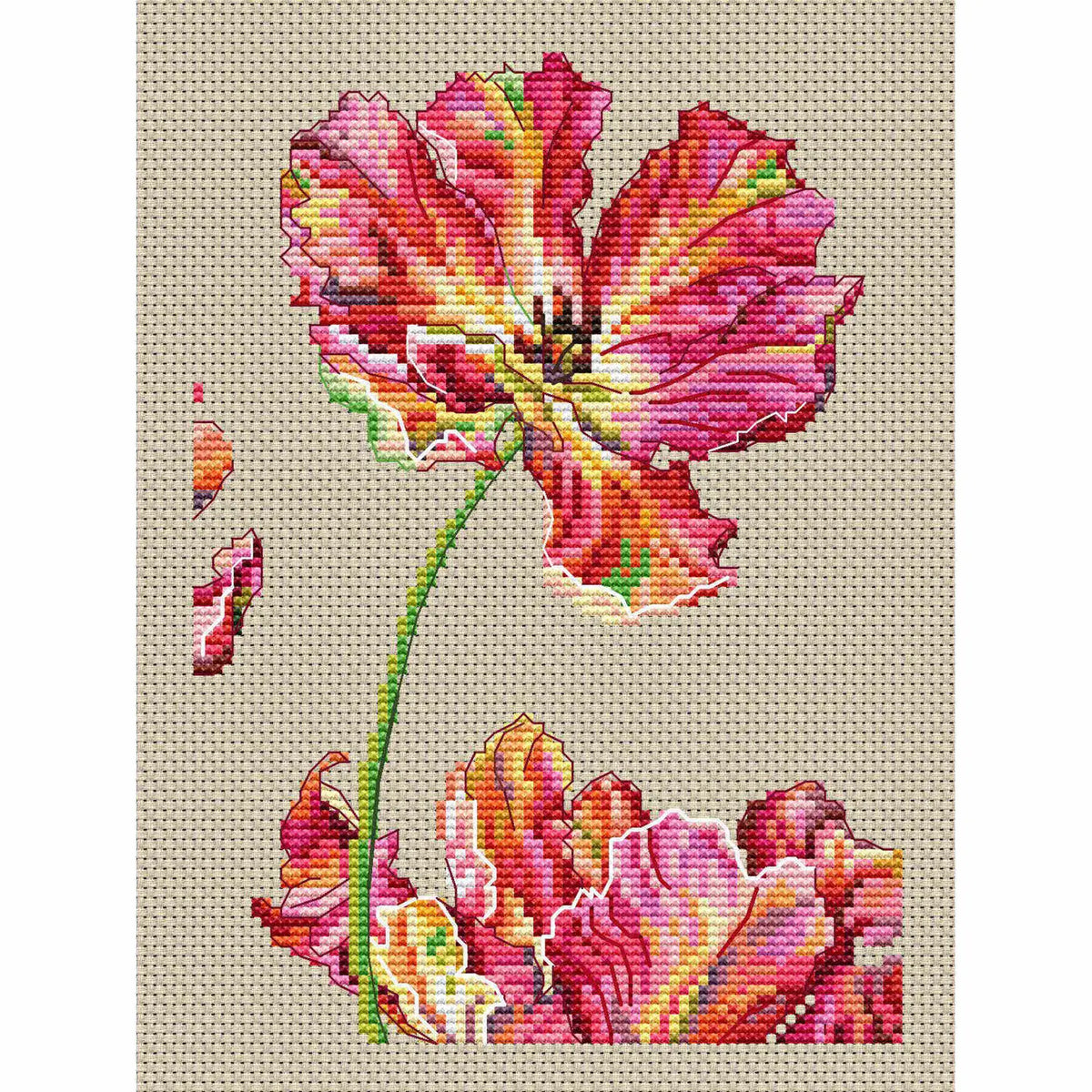 RTO  Kit Tulip
