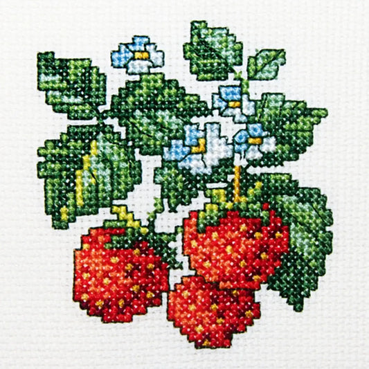 RTO Cross Stitch Kit Strawberry
